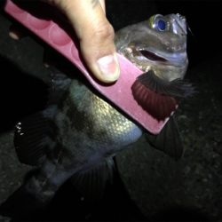 まだまだこれから