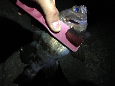 まだまだこれから