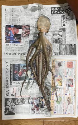 キロオーバー⁉️