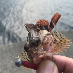 ガジラ様に感謝