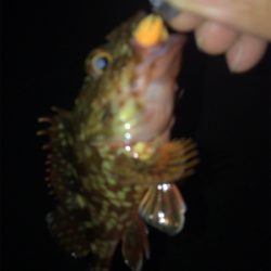 旅行先の雨前に