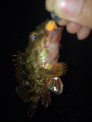 旅行先の雨前に