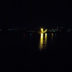 夜釣りチヌ