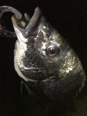 チニングプチ大会♪