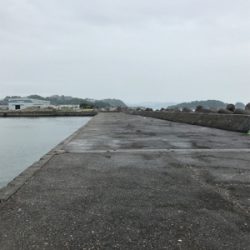 青物調査してきましたよ~のはずが。。