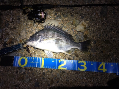 淀川ブリームゲーム 18ナスキーの鱗付け