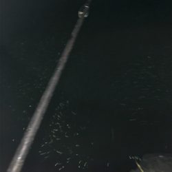 海にぶらりときたら