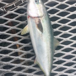 一文字→釣り堀