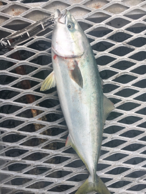 一文字→釣り堀