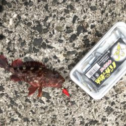 メバリング→エギング→ジギング→穴釣り