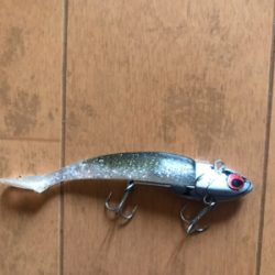 イワシ追いかけ辺りボイルだらけ