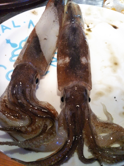 イルカイカメタル