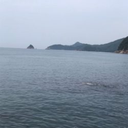 オヤジたちのアジ、メバ、エギング‼️