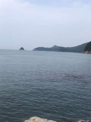 オヤジたちのアジ、メバ、エギング‼️