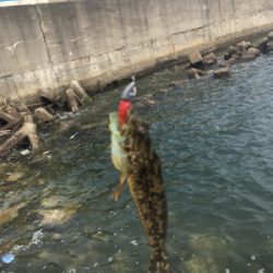 ライトワインド