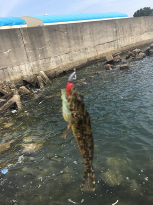 ライトワインド