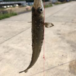 キスシーズン到来‼︎