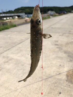 キスシーズン到来‼︎