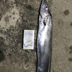 太刀魚 ジギング