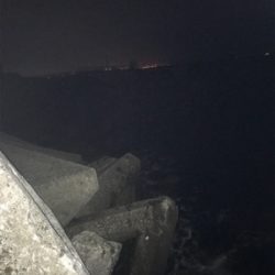 日課のナイトゲーム