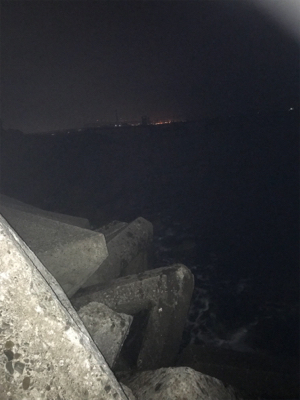 日課のナイトゲーム