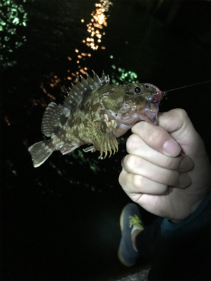 爆風ライトゲーム