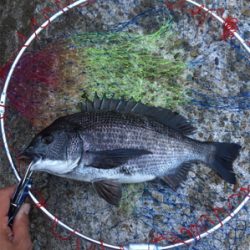 雨降り前に。。