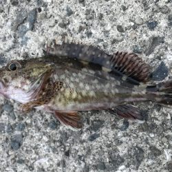 出勤前に。Part2