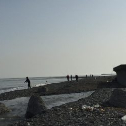 サーフショアジギング