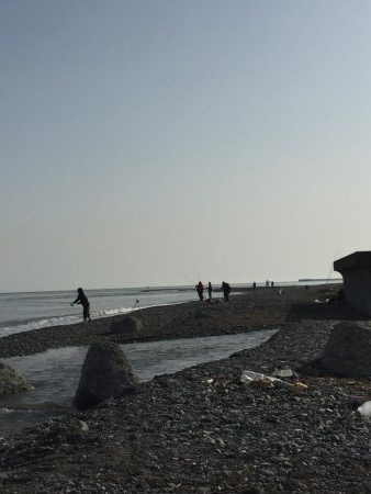 サーフショアジギング