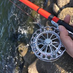 テトラでヘチ釣り