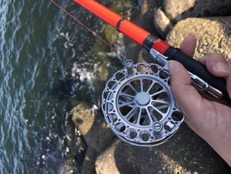 テトラでヘチ釣り
