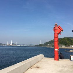 釣れない。。。