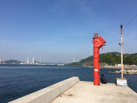 釣れない。。。