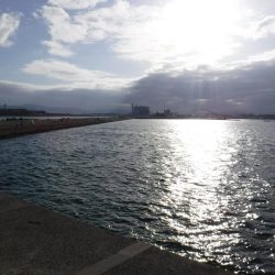 エソしか釣れず。