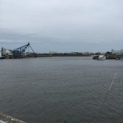 家族で投げ釣り