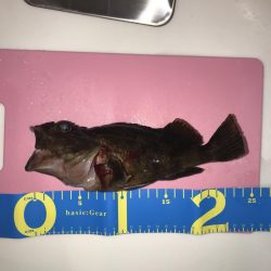 深夜のライトゲーム