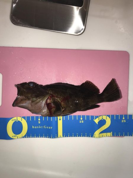 深夜のライトゲーム