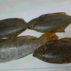 会社の釣り仲間と釣行