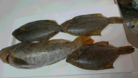 会社の釣り仲間と釣行