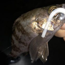 やっぱり足下は強かった…