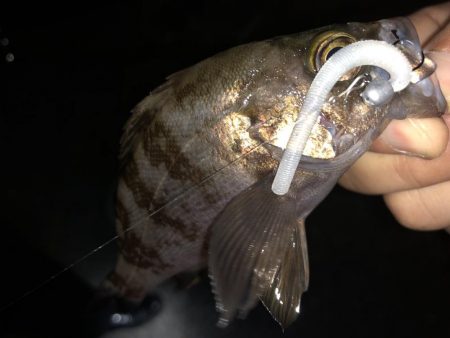 やっぱり足下は強かった…