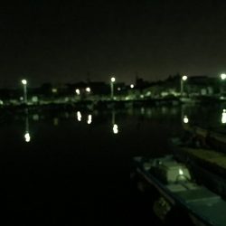 今日もメバリングちびっ子編