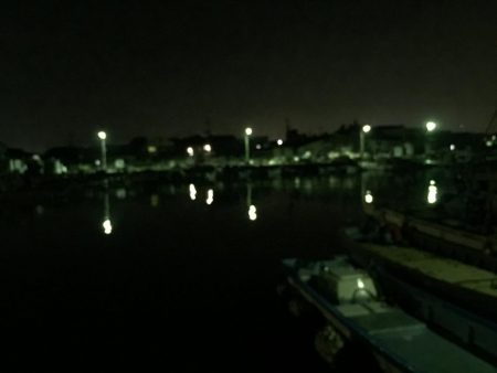 今日もメバリングちびっ子編