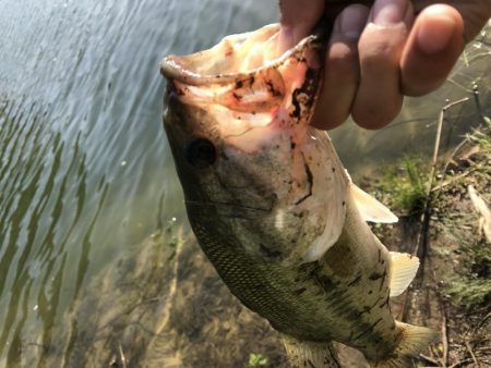 津風呂バス！！