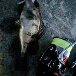 ナイトメバリング秋田火力