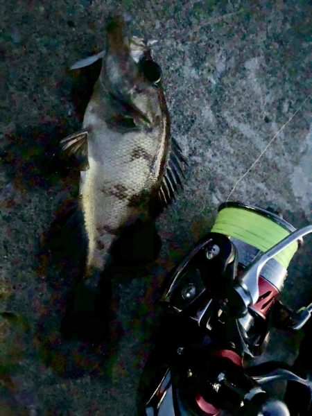 ナイトメバリング秋田火力