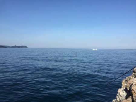 春イカからのガシリング