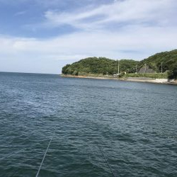 デカヒラメを求めて