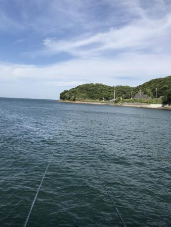 デカヒラメを求めて